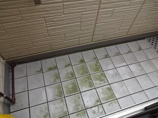 大島駅 徒歩12分 2階の物件内観写真